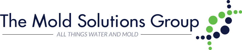 Mold Solutions Group