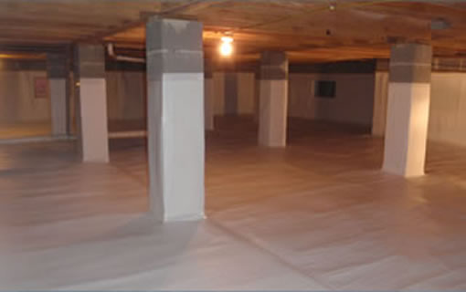 Crawlspace Program